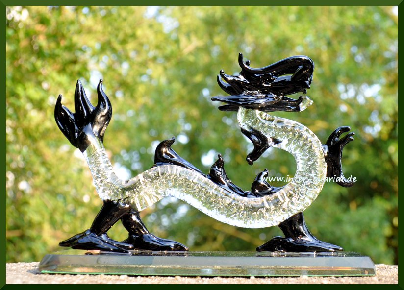 Glasdrache schwarz